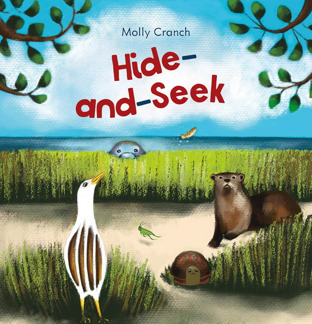 Omslag van Hide and Seek