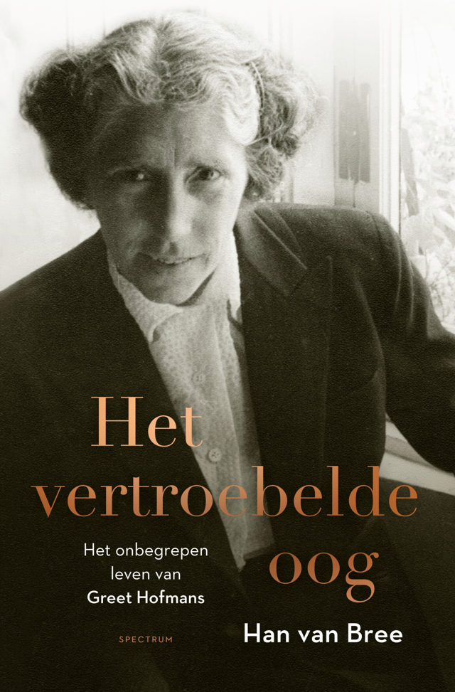Omslag van Het vertroebelde oog