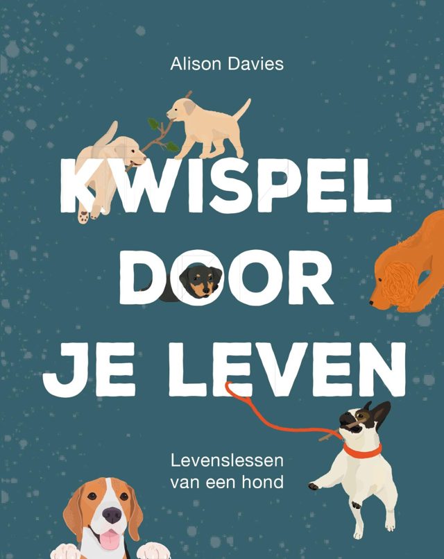 Omslag van Kwispel door je leven