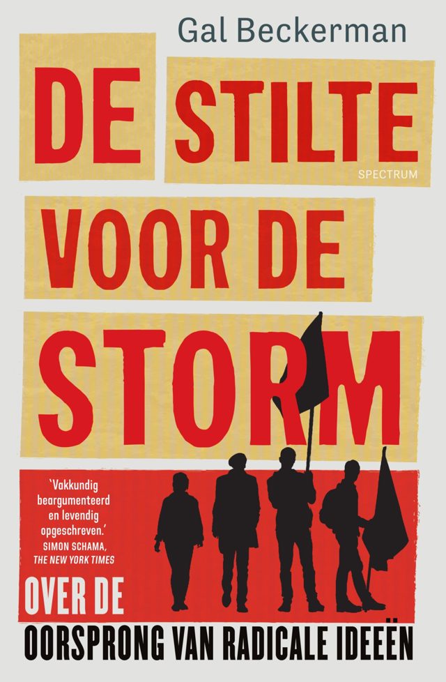 Omslag van De stilte voor de storm