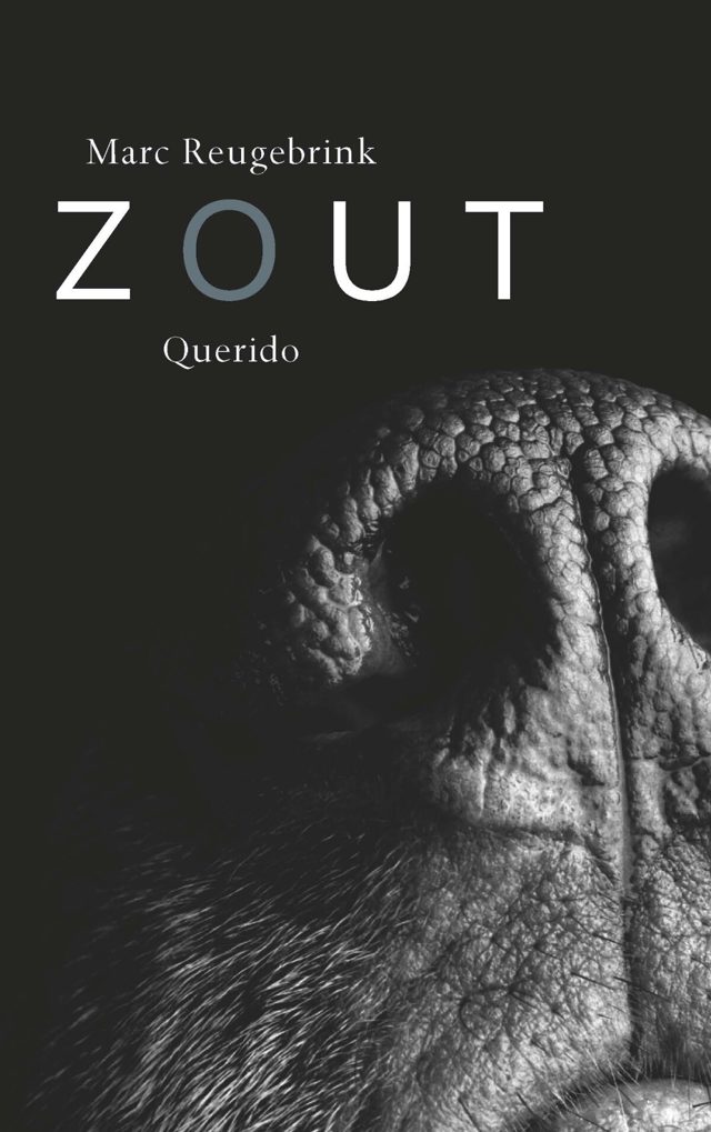 Omslag van Zout