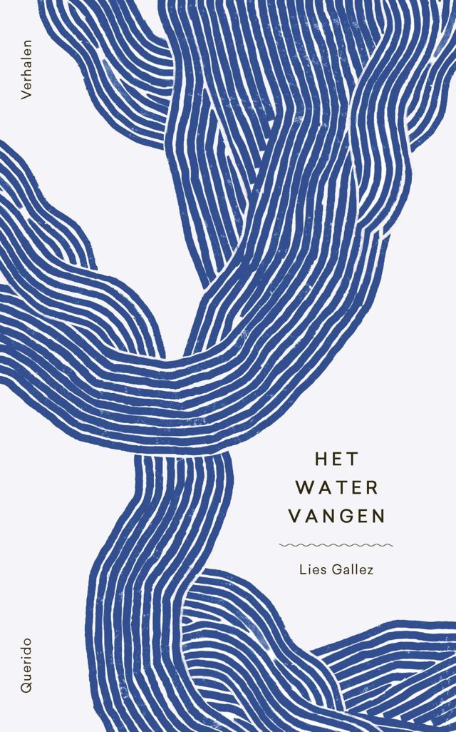 Omslag van Het water vangen