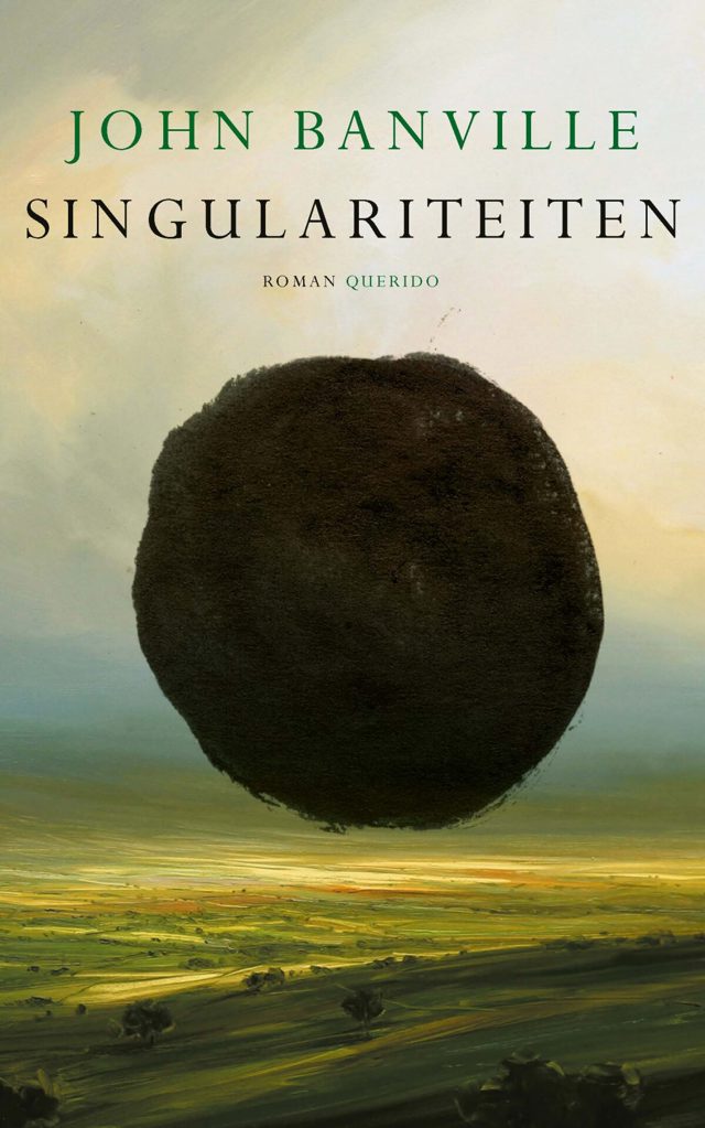 Omslag van Singulariteiten