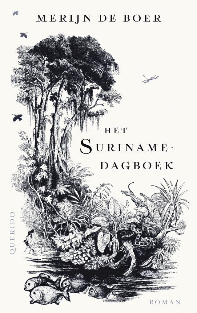 Omslag van Het Surinamedagboek