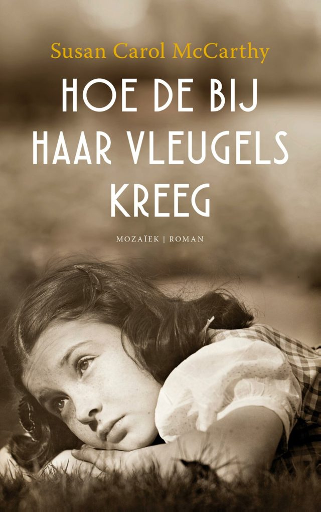 Omslag van Hoe de bij haar vleugels kreeg