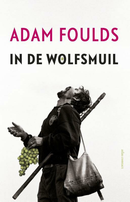 Omslag van In de wolfsmuil