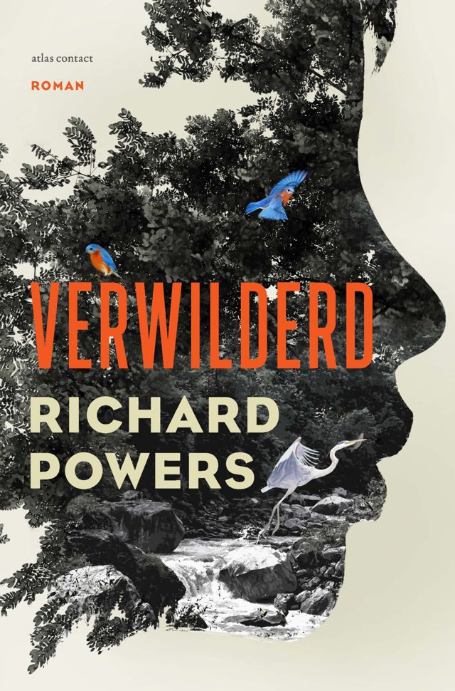 Omslag van Verwilderd