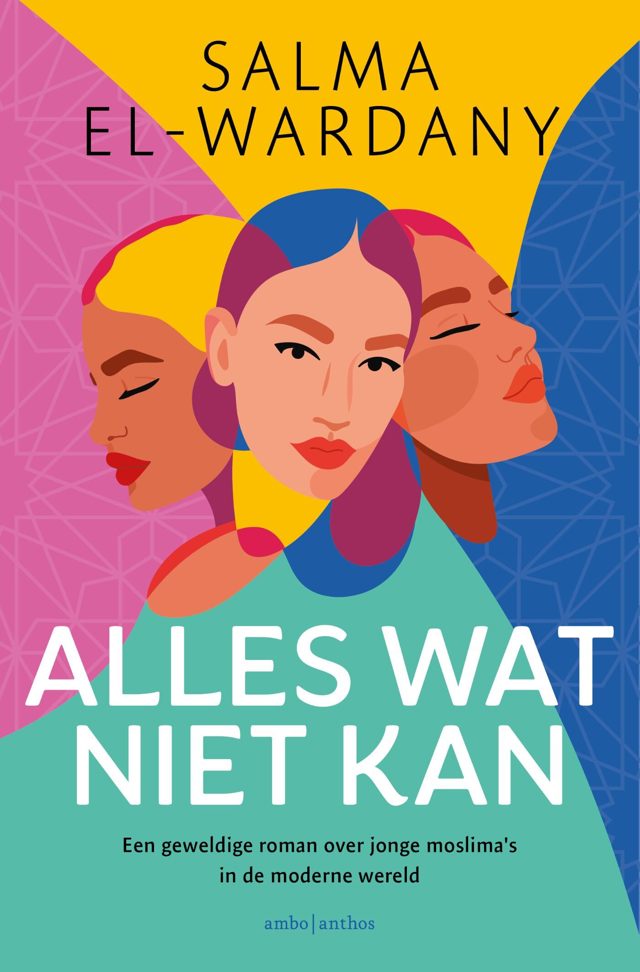 Omslag van Alles wat niet kan
