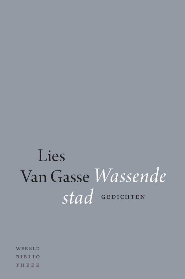 Omslag van Wassende stad