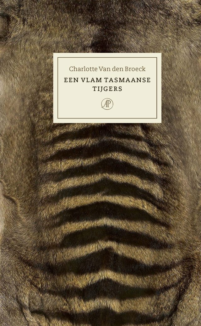 Omslag van Een vlam Tasmaanse tijgers