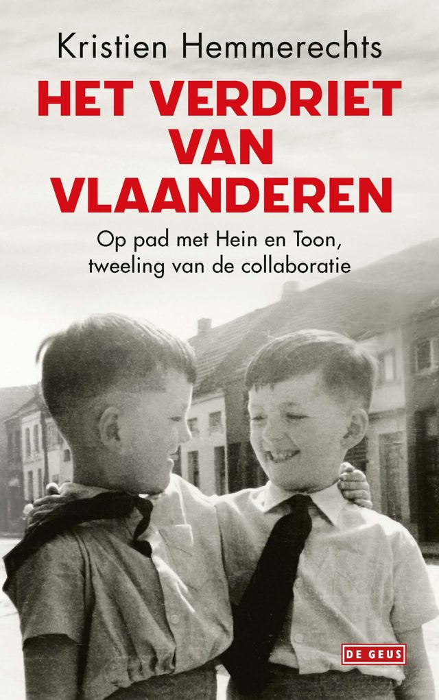 Omslag van Het verdriet van Vlaanderen