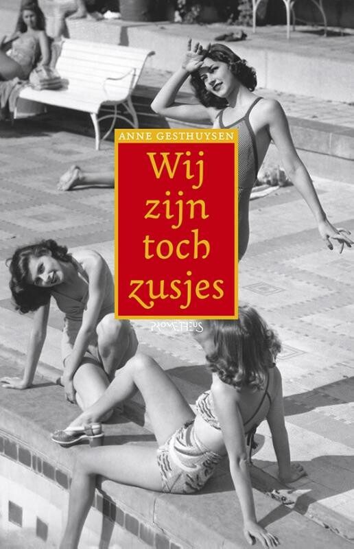 Omslag van Wij zijn toch zusjes