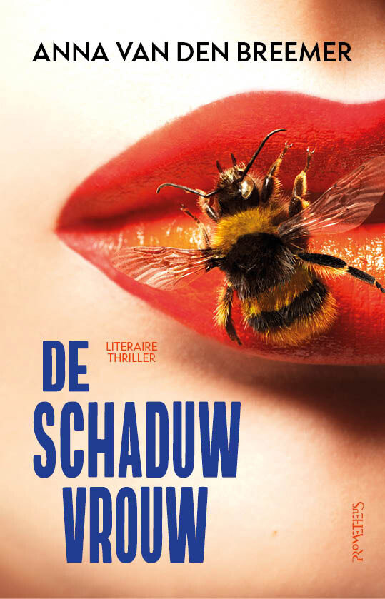 Omslag van De schaduwvrouw