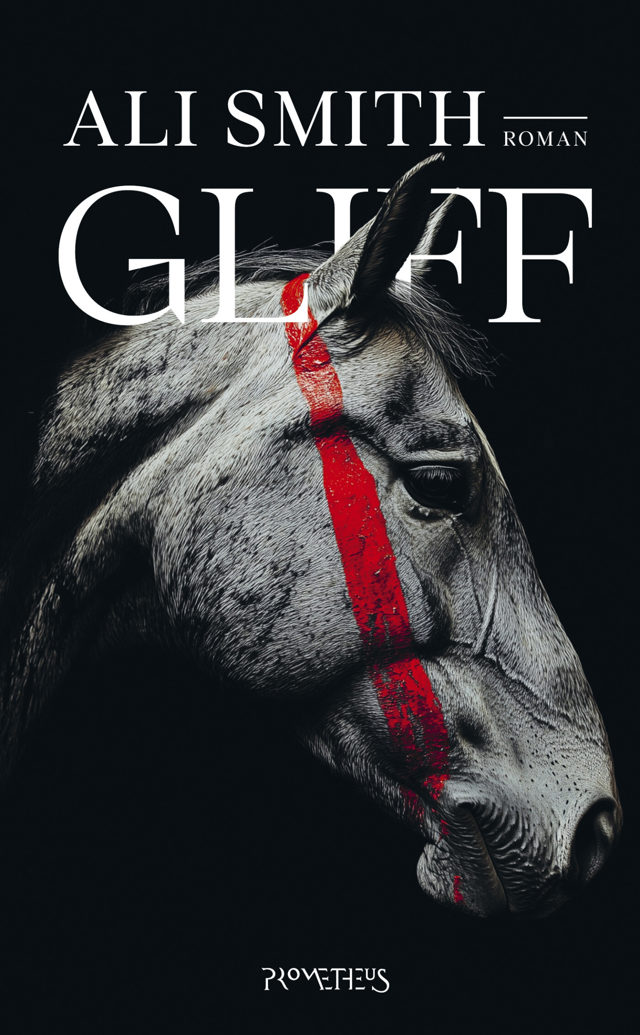 Omslag van Gliff