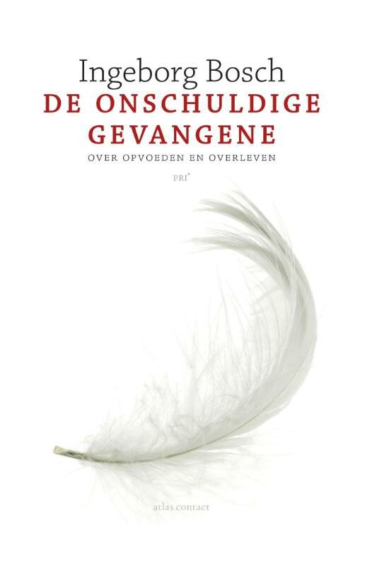 Omslag van De onschuldige gevangene