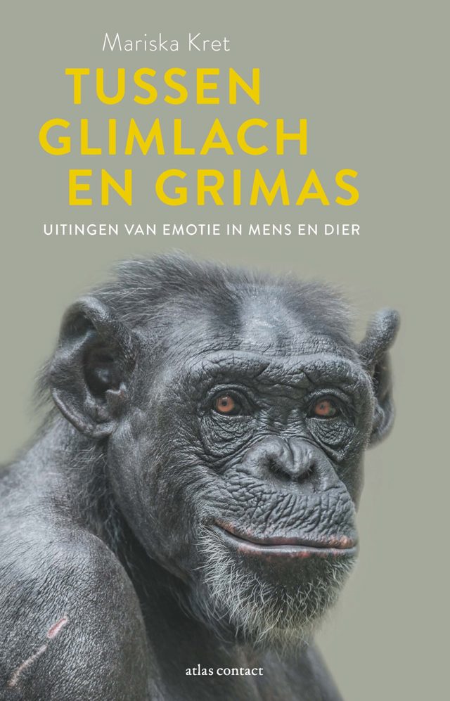 Omslag van Tussen glimlach en grimas