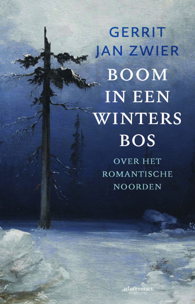 Omslag van Boom in een winters bos