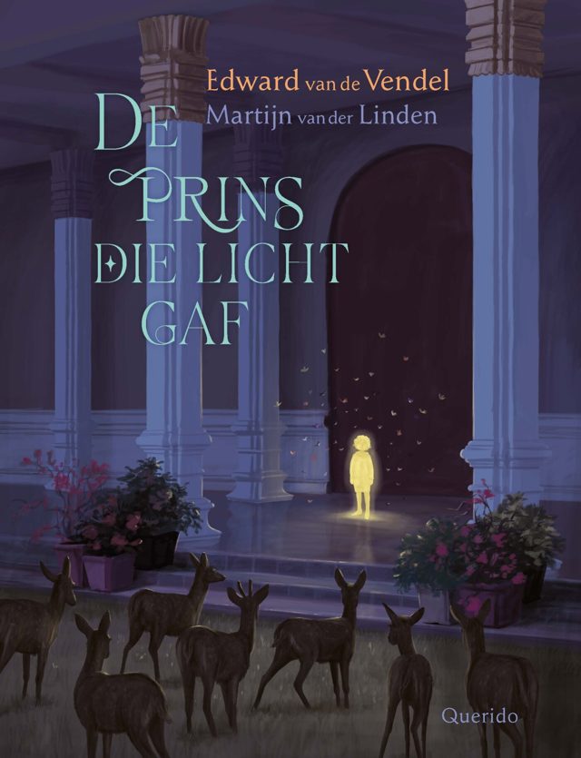 Omslag van De prins die licht gaf