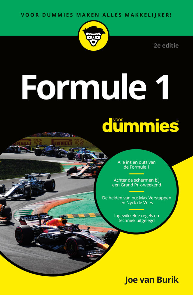 Omslag van Voor Dummies - 2e editie