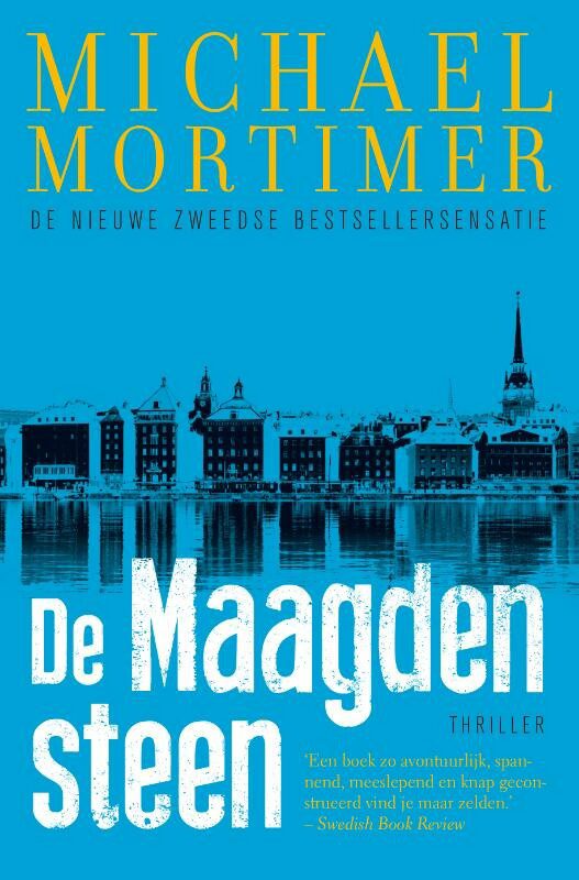 Omslag van De maagdensteen saga 1 - De maagdensteen