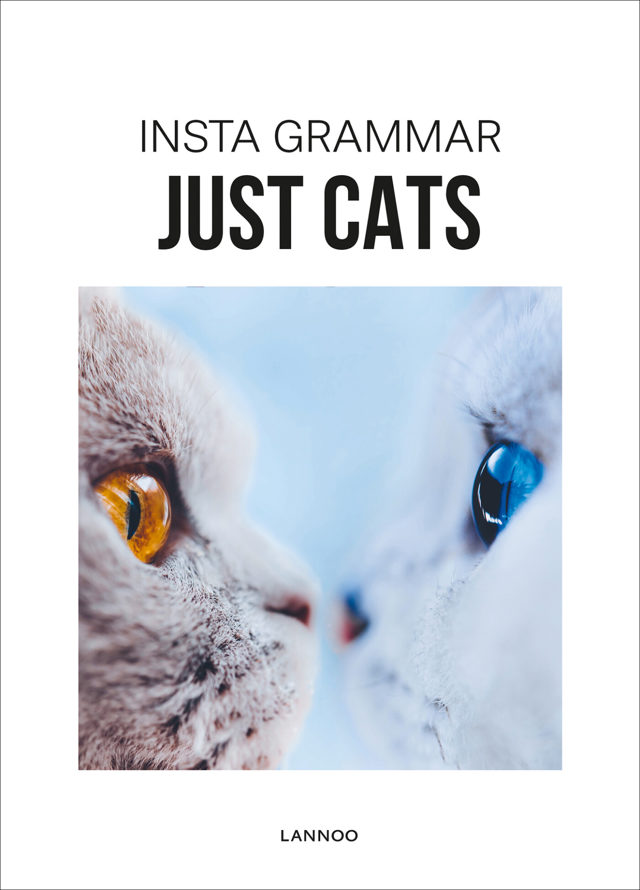 Omslag van Insta grammar - Insta Grammar - Just Cats