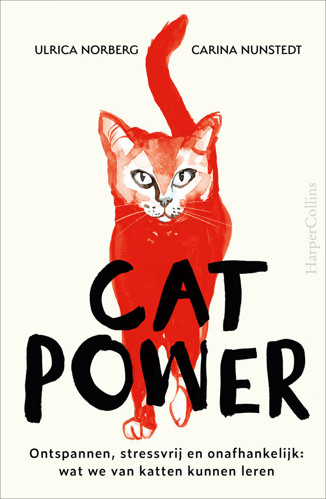 Omslag van Cat power