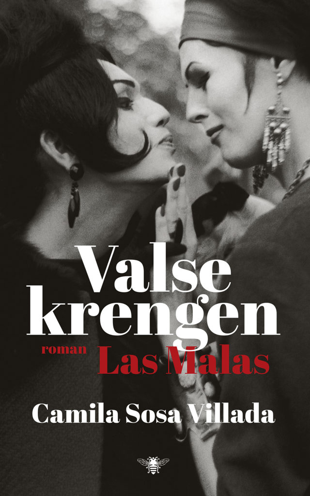 Omslag van Valse krengen