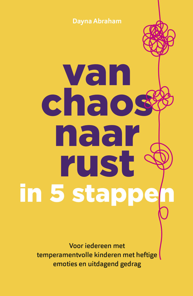 Omslag van Van chaos naar rust in 5 stappen