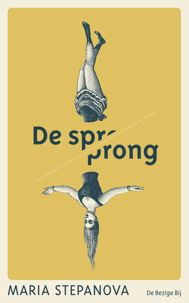 Omslag van De sprong
