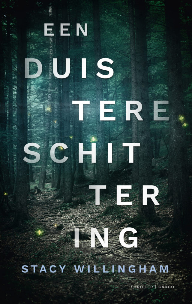 Omslag van Een duistere schittering