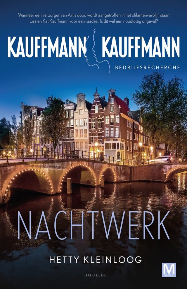 Omslag van De Zusjes Kauffmann 2 - Nachtwerk